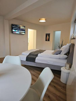 Die Alte Apotheke _ Apartment Nr.2